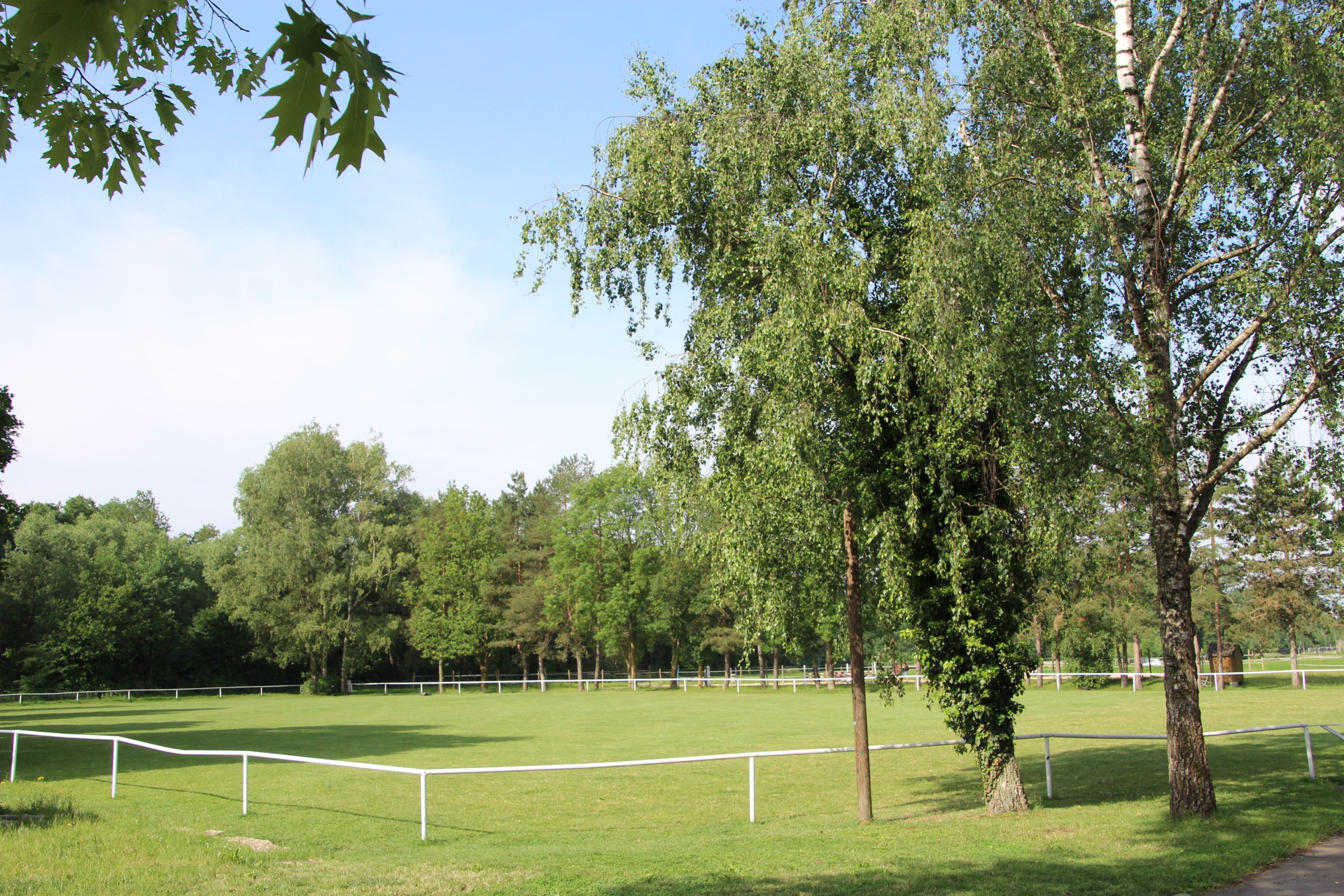 Großer Rasen Springplatz